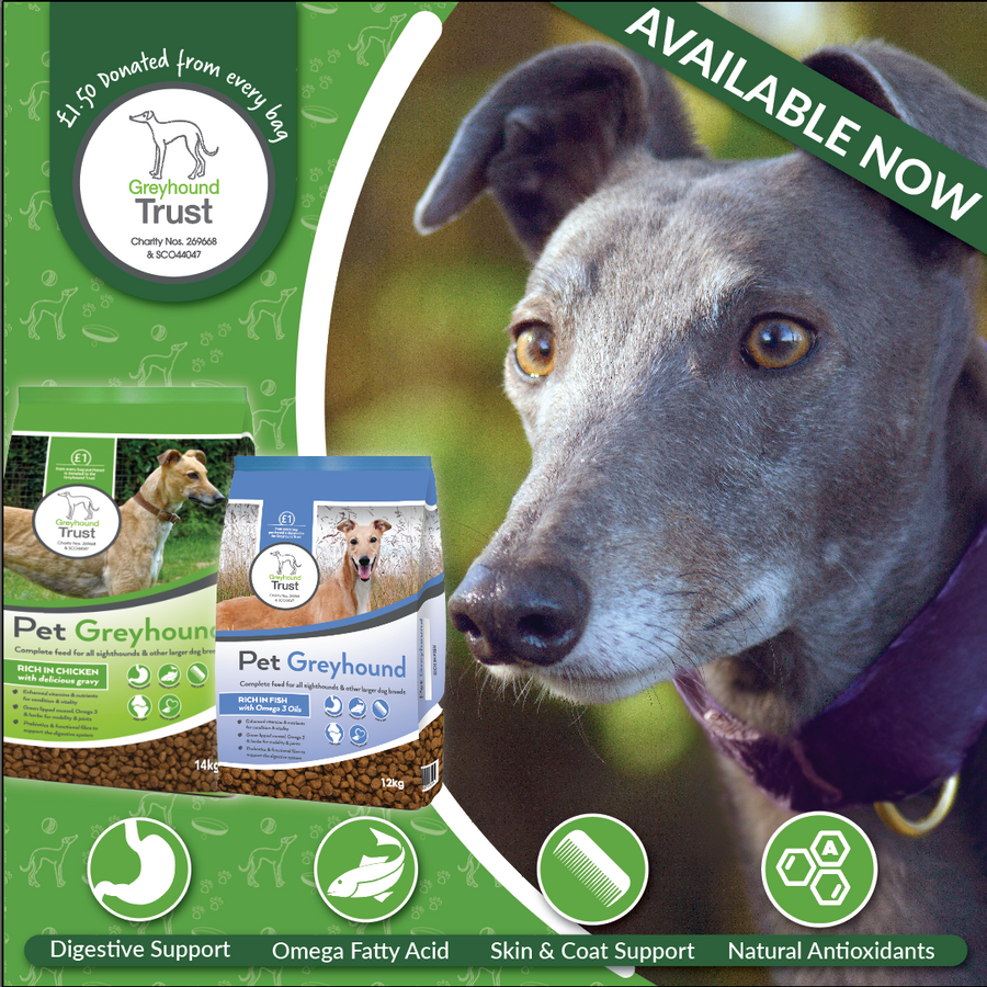 Fish for dogs stockists online