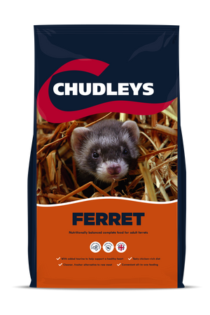 Ferret